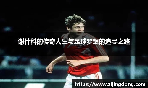 谢什科的传奇人生与足球梦想的追寻之路